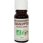 Huile essentielle menthe poivrée