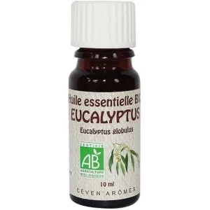 Huile essentielle eucalyptus globulus
