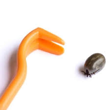 Tic Clip pour cheval