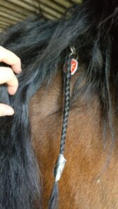 Tic Clip pour cheval